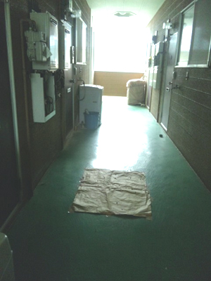 home1.jpg
